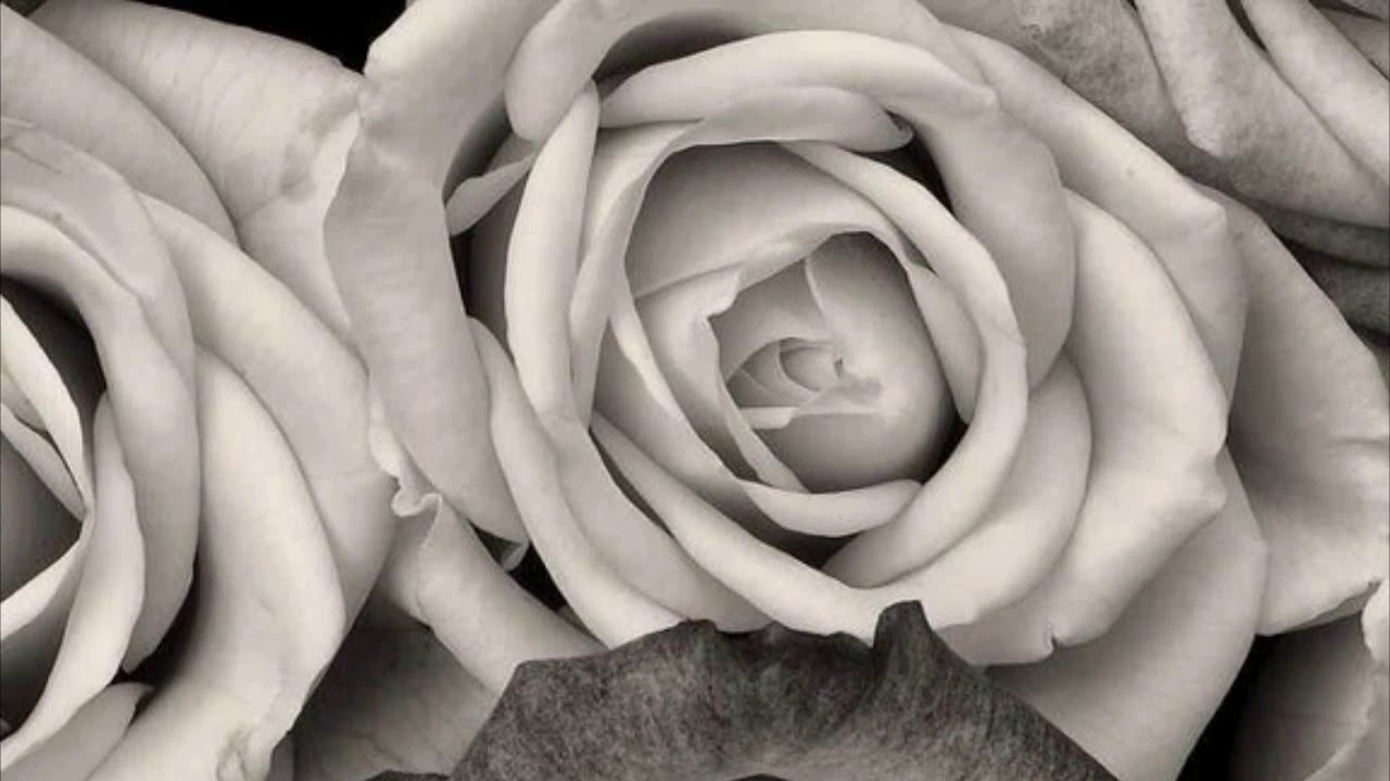 Aishiteru 2 Zivilia Story Wa Youtube