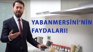 Yabanmersini hangi hastalıklara iyi geliyor?