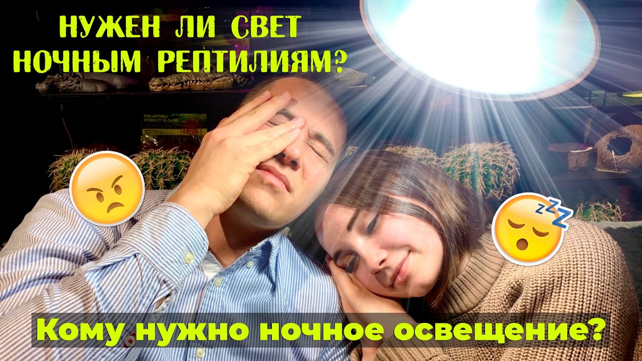 Нужен ли свет ночным рептилиям? Кому необходимо сумеречное освещение?