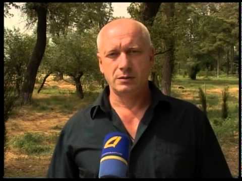 მწვანე საფარის მოვლა პატრონობა  21 08 15