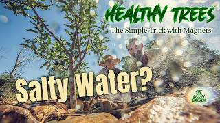 Will This Change Our Salty Bore Water? We’re About to Find Out