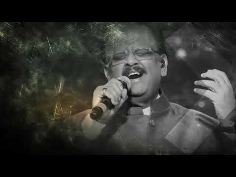 The Legend of Music | S P Balasubrahmanyam | A Tribute