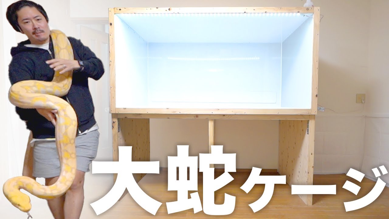 飼ってる巨大ニシキヘビのための巨大ケージを作る