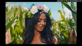 SOLEO \u0026 Kris TALISMAN - Lubie Lubie  (TORI REMIX full )