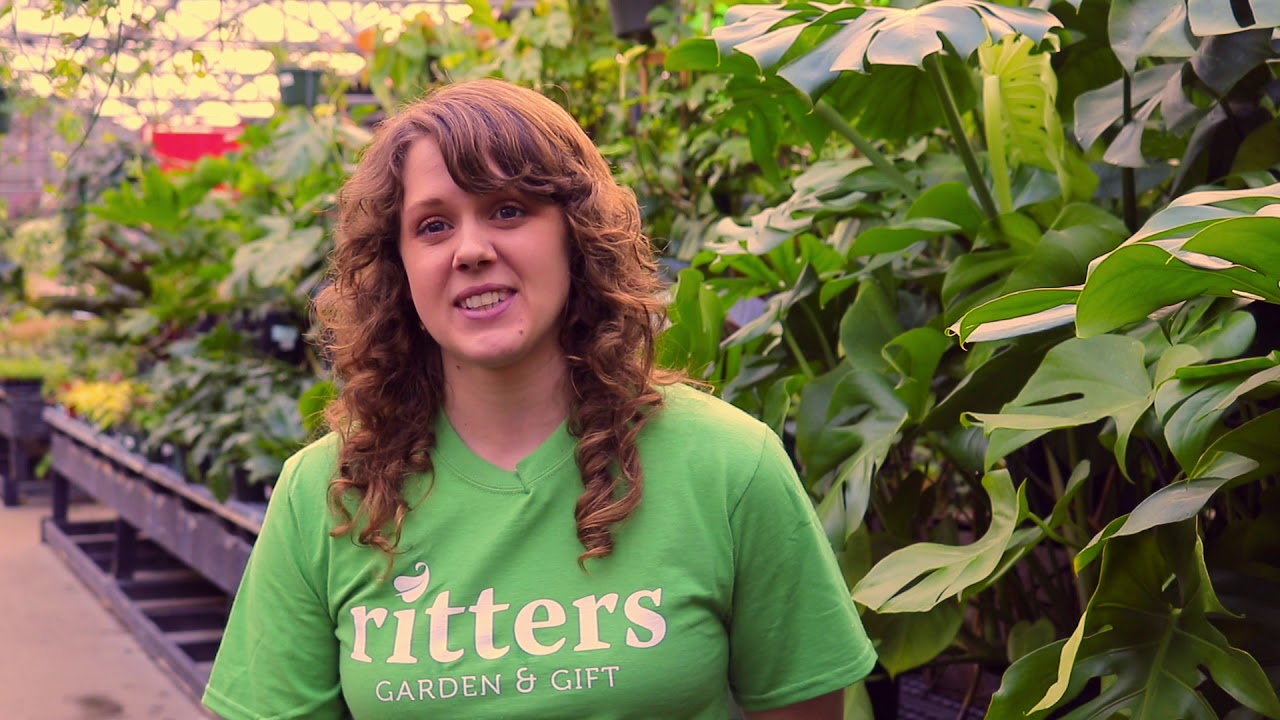 What its like working in our greenhouse