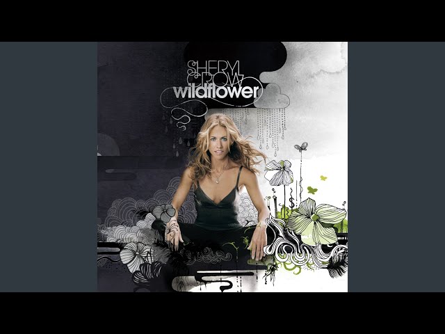 Sheryl Crow - I Don't Wanna Know