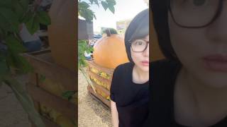 Download Lagu Where’s daddy? Dad🤪🤣#shorts MP3