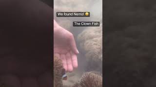 Ourtrippindiary - Andaman Marine Life - Part 1