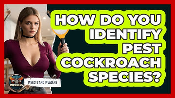 How Do You Identify Pest Cockroach Species? - Insects and Invaders