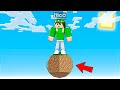 GIOCO A MINECRAFT IN UNA SOLA SFERA! *impossibile*