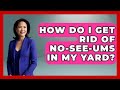 How to Eliminate No-See-Ums from Your Yard 🦟
