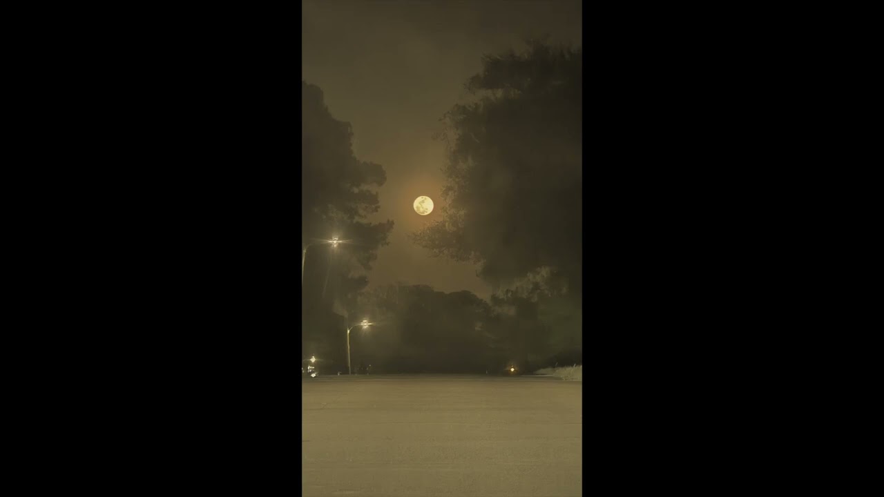 (FREE FOR PROFIT) TRAP Melodic Type beat - 1303 Unlimited Sounds - This Guap Gone Touch The Sky