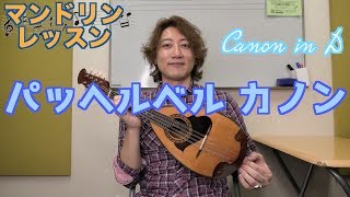 【タブ譜】マンドリン パッヘルベル カノンの弾き方【初心者向け】