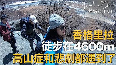 奧菠去旅行｜EP5今日沒馬的悲劇，徒步到海拔4600m！稻城亞丁～防疫在家重新回顧 - 天天要聞