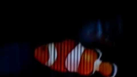 Polivizor - 3D video pseudo holographic projector