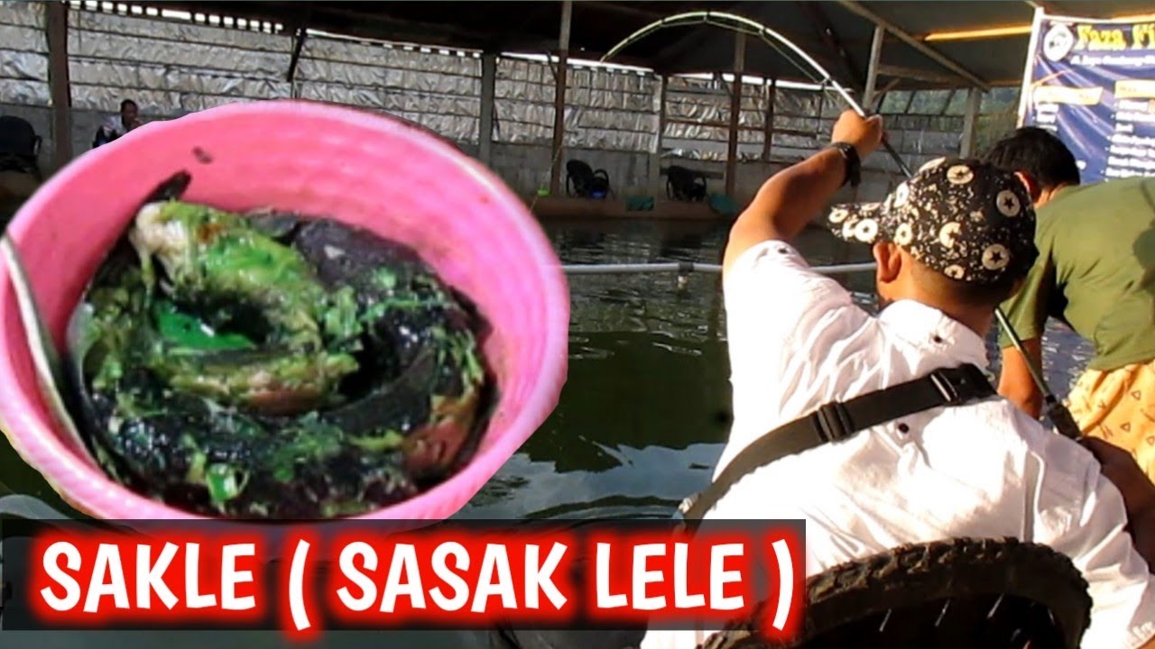SASAK LELE (SAKLE) Umpan lele galatama