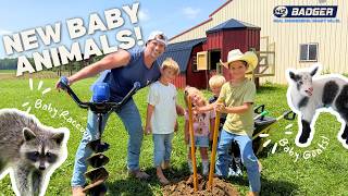 The Roshek Family Welcomes New Animals! BABY RACCOON/GOATS/FARM/BARN/EXOTIC/KIDS LEARN/BUILD