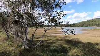 WWII Vessels of Musquash NB