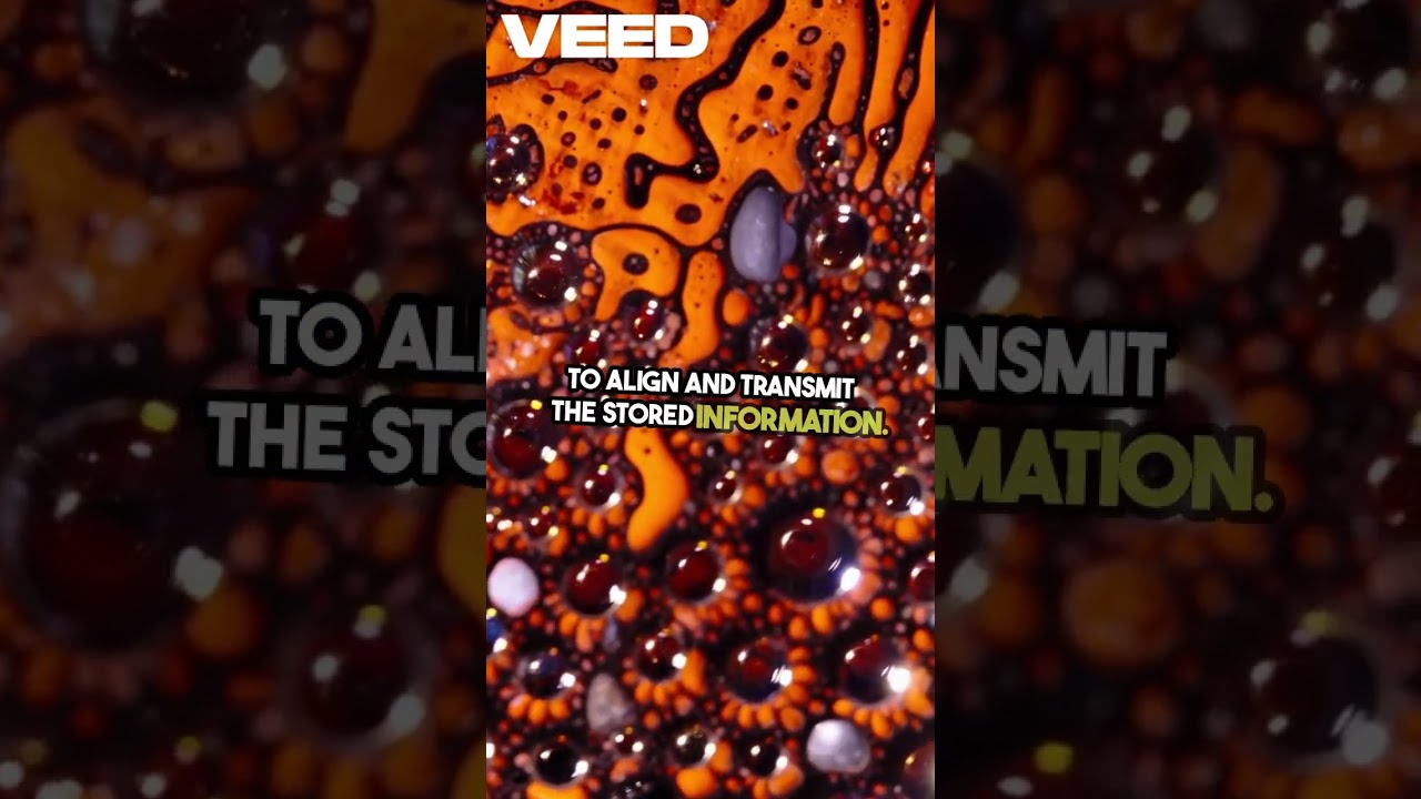 How Magnetic Cards Work?