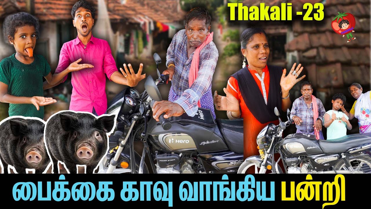 பைக்கை காவு வாங்கிய பன்றி   thakali velu  COMEDY | THAKALI | VELU