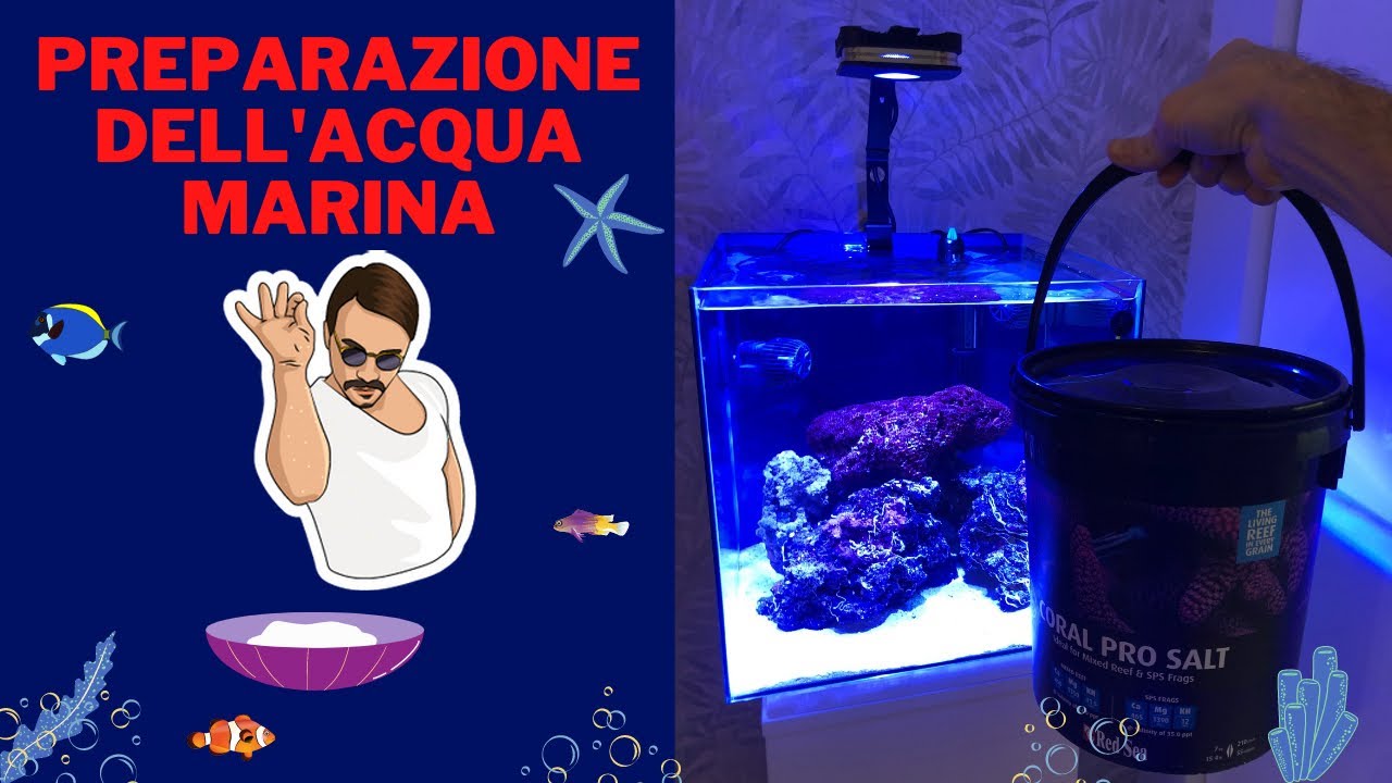 Preparazione acqua salata per il mio acquario marino (Nano Reef da 50 ...