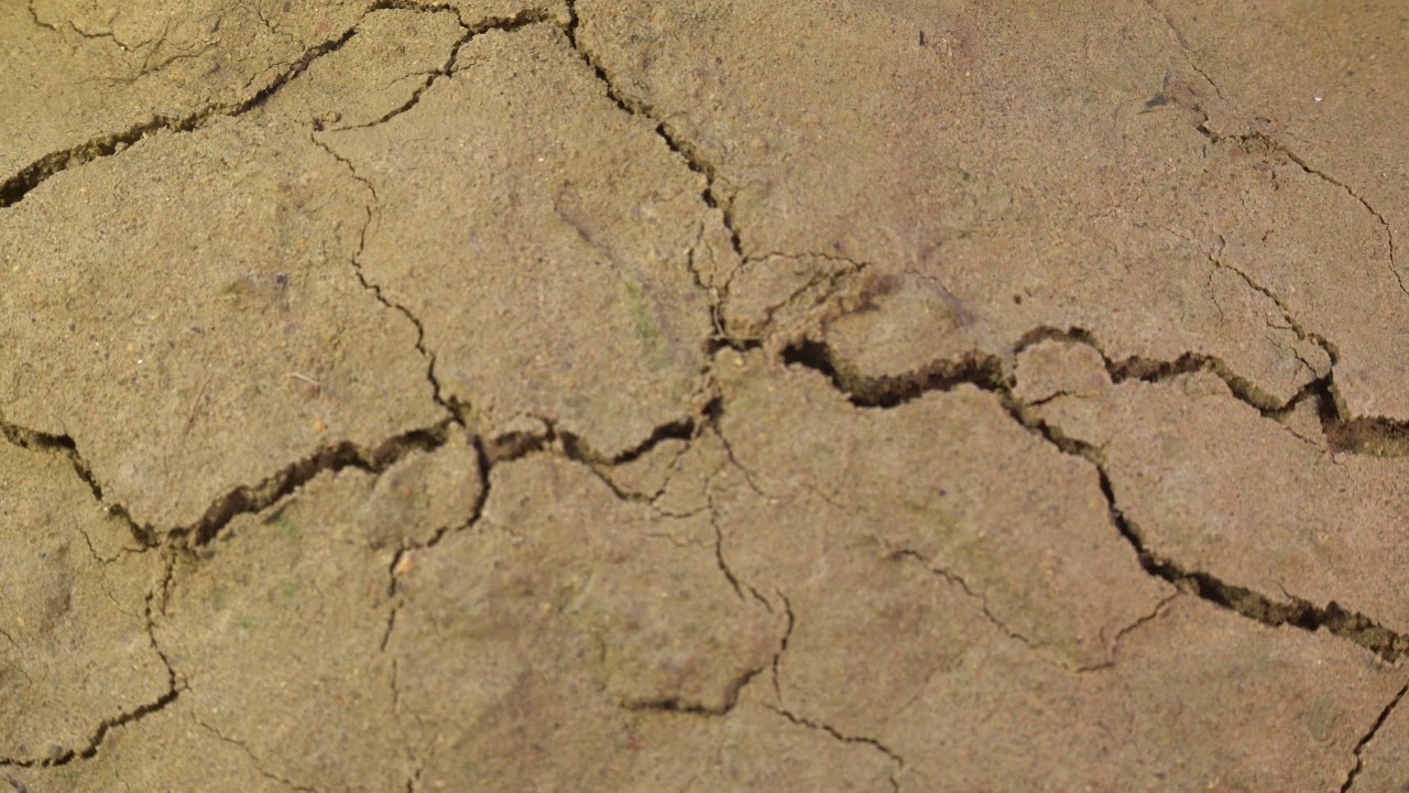 crack growing in shaking ground land destruction Earthquake disaster