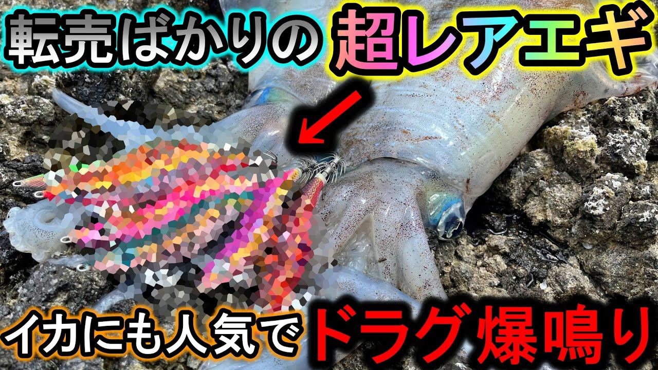 転売だらけの激レアエギ達を使うと…巨大イカが次々襲い掛かりドラグが鳴りまくります