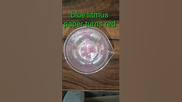 litmus paper v/s acids #shortsfeed #shortsvideo