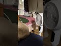 ライブハイライト