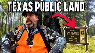 HUNTING Texas PUBLIC LAND | Sam Houston NF by Typical Outdoors 1,057 views 6 months ago 14 minutes, 5 seconds