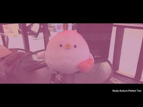 靜宜大學歌唱研習社  飛歌傳情