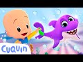 Baby Shark y Cuquín: Los globos de colores y más vídeos 🦈🎈 Caricaturas y dibujos animados para bebés