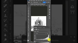 Turn Any Image into Vector Art – !Watch full video visit YouTube channel (Retro Design Deluxe)