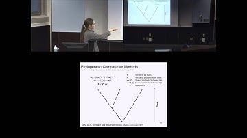 Species geographic response to past climate change and the evolution of multivariate systems