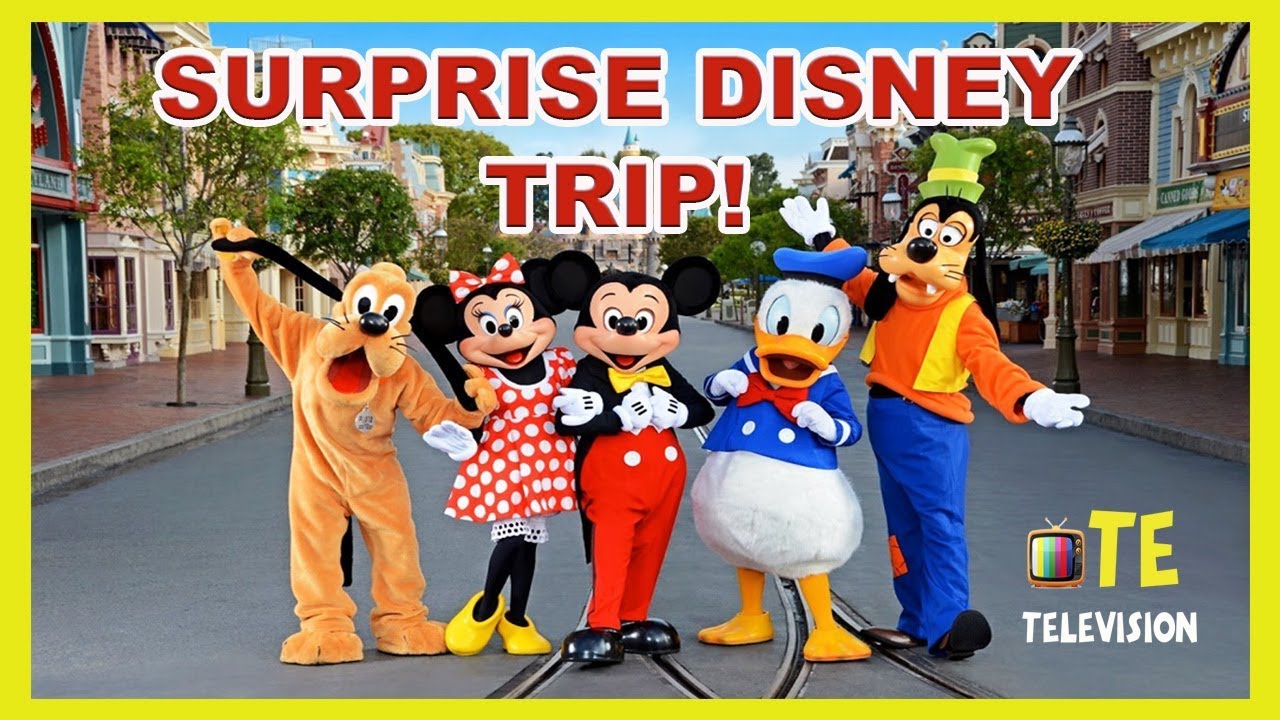 disney world trip surprise