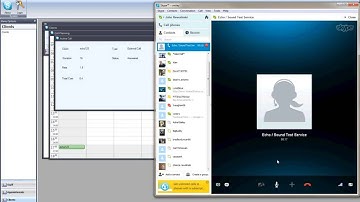 Skype Plugin - Online Consulting Via Skype