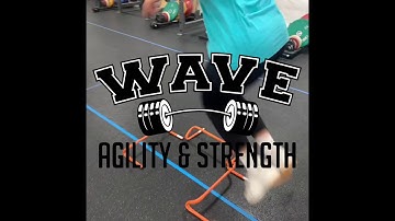 Multi Directional Hurdle Jumps