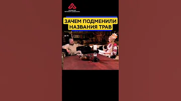 Зачем названия трав подменили #сундаков #травничество #травник #травница