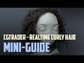 Ornatrix realtime curly-hair mini-guide for the hair model