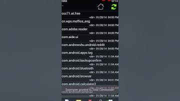 Hack Flappy Bird High Score Android