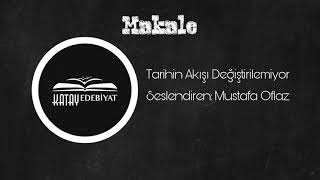 Tarihin Akışı Değiştirilemiyor / Mustafa OFLAZ Resimi