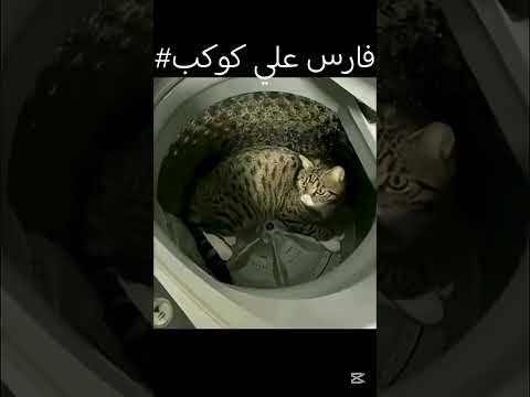فيديو مضحك مع فارس علي كوكب المريخ