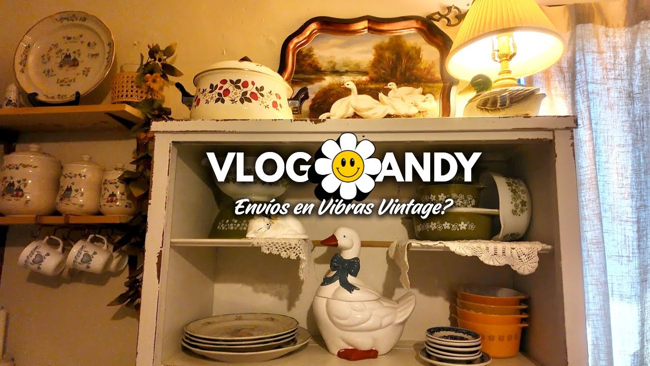 💕✨Compre Ganso Vintage😍Envíos en Vibras Vintage Bazar..?🤔TIANGUIS Express+Cambios en mi Cocina🙈