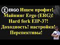 Ищем профит! Майнинг Ergo (ERG)! Hard fork EIP-37! Доходность, настройка, перспективы!