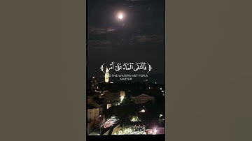 #سورة #اكسبلور #تيك_توك #سبحان_الله #راحة_نفسية #قرآن #لايك
