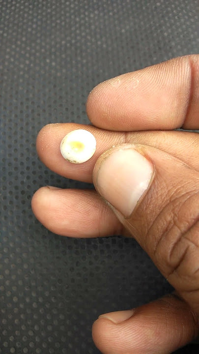 kol buntet kecil mungil banyak dicari ⁉️