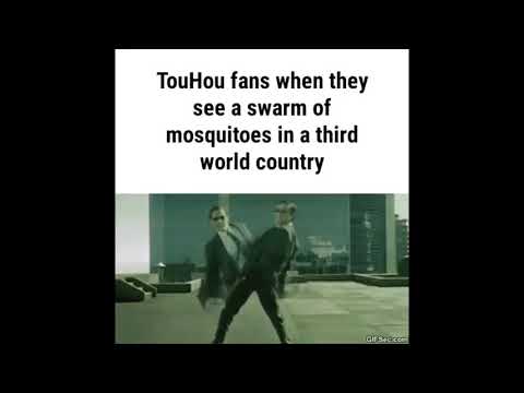 touhou-fans-when-they-see-a-swam-of-mosquitoes-in-a-third-world-country