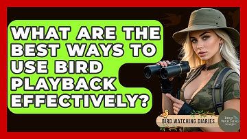 What Are The Best Ways To Use Bird Playback Effectively? - Bird Watching Diaries
