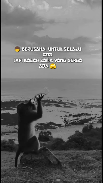 capek hati capek pikiran #shorts