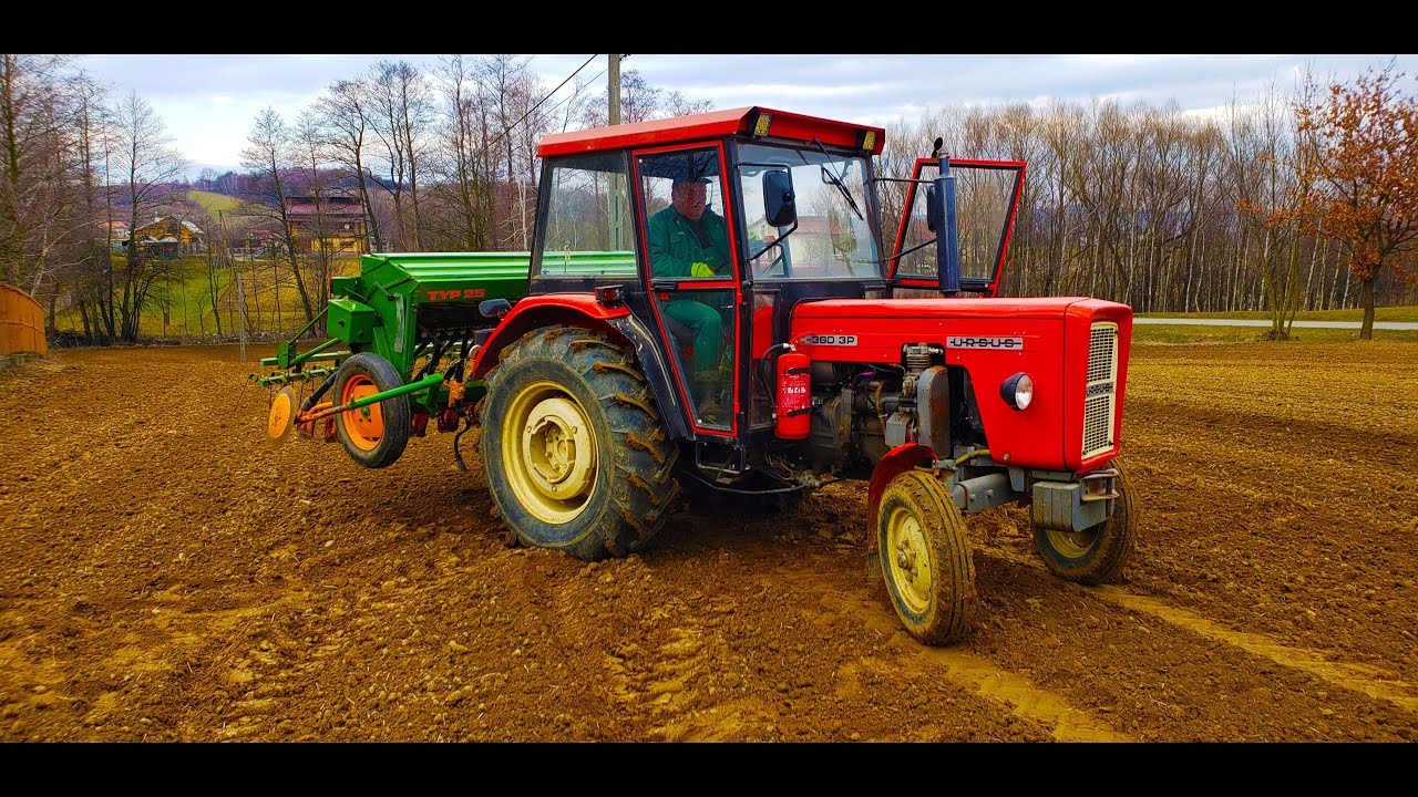 Wiosenny Siew Owsa z 